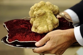 ТОП-10 самых дорогих продуктов в мире