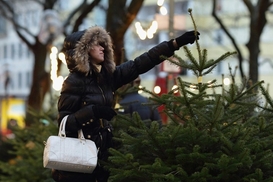 Где и за сколько можно купить елку к Новому году