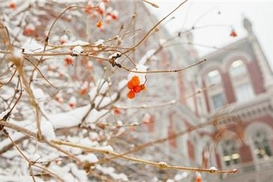 Нацбанк утвердил новый порядок оценки банков