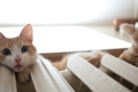 Как формируются тарифы на тепло в Украине