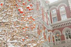 НБУ выпустил монету с портретом Богдана Ступки