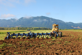 Украина потеряла 43 миллиарда на моратории на продажу земли