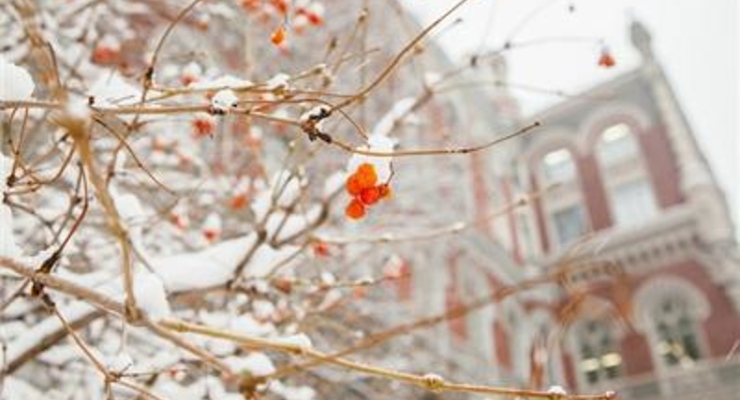 НБУ сегодня купил у банков $20 млн