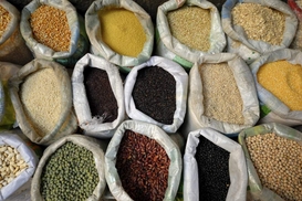 Украина установила рекорд в экспорте зерновых