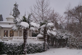 Оккупанты в несколько раз подняли цены на овощи в Крыму