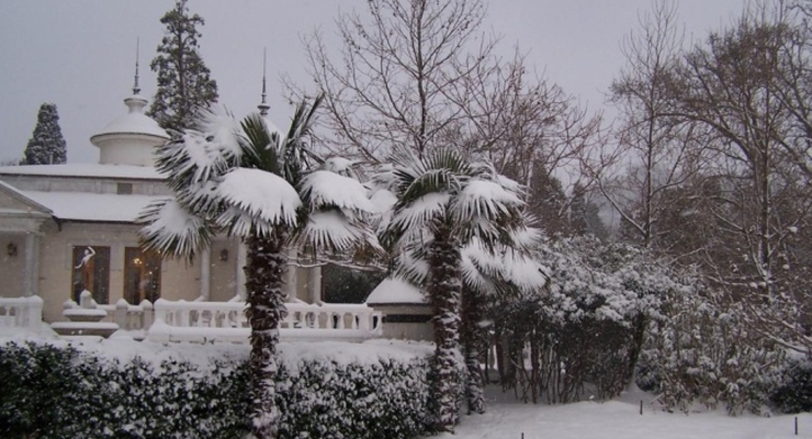 Оккупанты в несколько раз подняли цены на овощи в Крыму