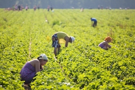 Как украинцам трудоустроиться в Финляндии