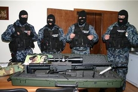 Налоговая милиция: разрубить гордиев узел