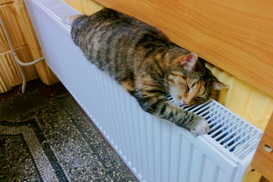 Сколько платят за отопление "соседи" Украины