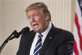 Трамп раскритиковал валютные курсы ФРГ, Японии и Китая