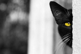 Внутренний друг