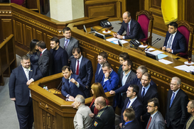 Что приняла Рада в феврале