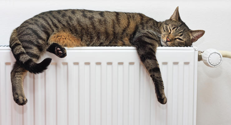 Жители Киева смогут досрочно отключать отопление в квартире