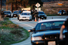 В Раде отклонили закон о легализиции автомобилей на еврономерах