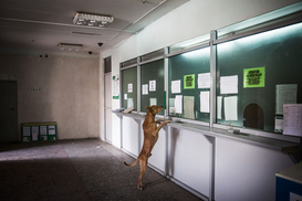 С глаз долой: НБУ хочет продать все государственные банки