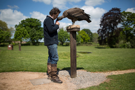 Сколько денег тратят в Украине на защиту окружающей среды