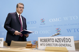 Россия пожаловалась в ВТО на введенные Украиной ограничения