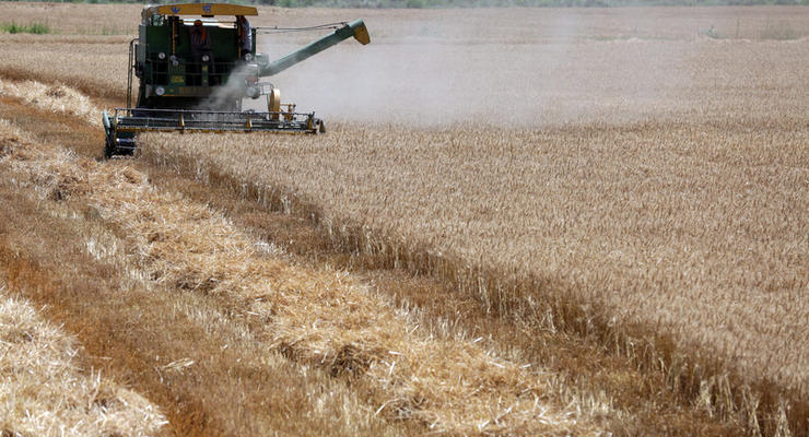 Турция ввела новые ограничения на импорт российской пшеницы