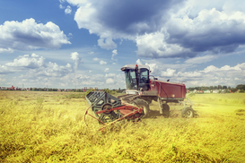 МВФ уехал, условия остались: экономику Украины ждут реформы