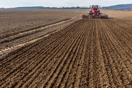 Кабмин принял важное решение в отношении госземель