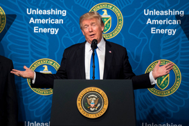 Трамп согласился продавать Украине уголь