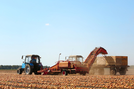 МВФ откажется от требования запустить рынок земли в Украине - СМИ