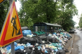 На утилизацию львовского мусора выделили 50 миллионов гривен