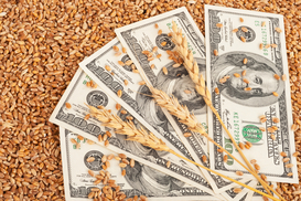 Совет ЕС утвердил новые торговые преференции для Украины