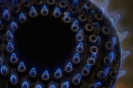 Украинскую промышленность ждет повышение цены на газ