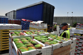 Россия за два года уничтожила 17 тысяч тонн санкционных продуктов