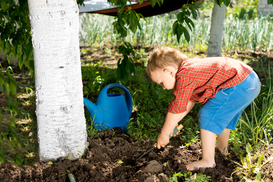 Новый законопроект: за детский труд родителей может ждать арест и штраф в 17 тысяч гривен