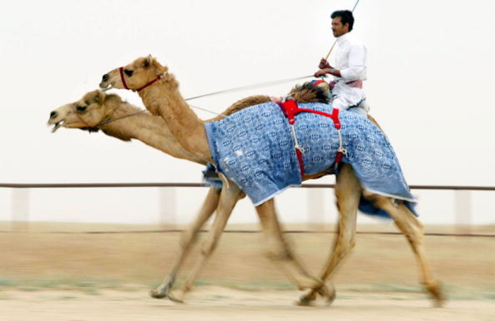 ТОП-5 лучших стран для трудовой миграции в 2017 году