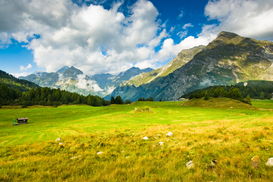 В Швейцарии продают воздух по 21 доллару за 120 вдохов