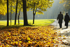 Что выгоднее будущим пенсионерам – купить стаж или положить деньги на депозит