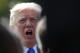 Трамп хочет отменить Green Card: что дальше