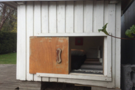 В Финляндии предлагают переночевать в собачьей будке за 650 гривен