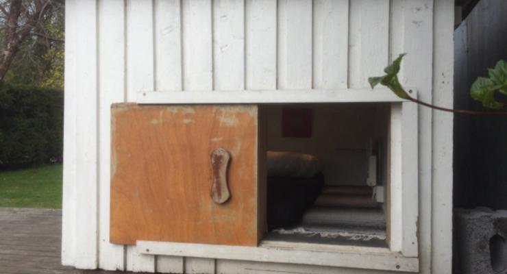 В Финляндии предлагают переночевать в собачьей будке за 650 гривен