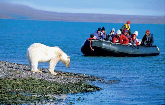 Майя Тульчинская