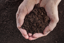 Депутаты продлили на год мораторий на продажу сельхозземель