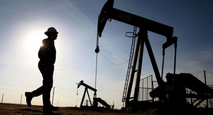 Коррупция в Госгеонедра блокирует энергонезависимость Украины – СМИ