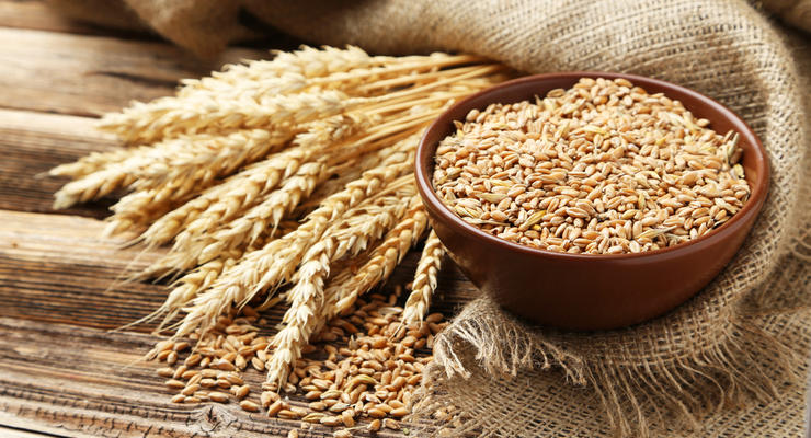 Украина на 100% выбрала квоты на экспорт пшеницы и кукурузы в ЕС