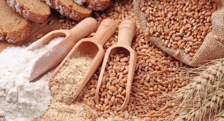 В Украине отчитались об объемах экспорта зерна