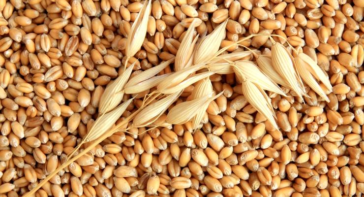 В Украине отчитались об экспорте зерна
