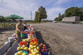 В Украине снизились цены на продукты – Госстат