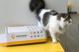 Укрпочта отчиталась об итогах I полугодия