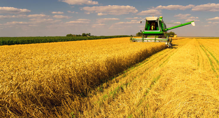 Компания из Саудовской Аравии купила украинский агрохолдинг “Мрия”