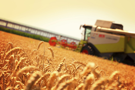 Стало известно, за сколько SALIC купил агрохолдинг Мрия