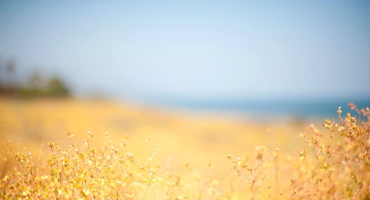 facebook.com/derjgeokadastr