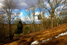 Сколько дней будут отдыхать украинцы в марте