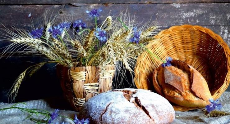 Госстат: Насколько подорожал хлеб в Украине